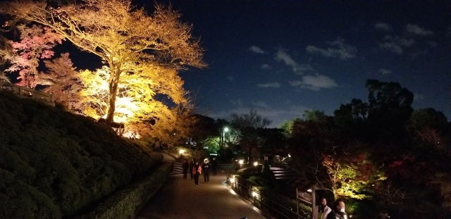 清水寺の紅葉　ライトアップ