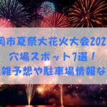 真岡市夏祭大花火大会