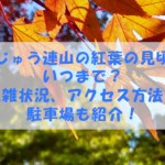 くじゅう連山の紅葉