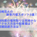 ぎおん柏崎まつり海の大花火大会2024