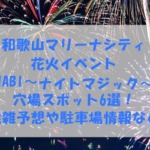 和歌山マリーナシティ花火イベント『HANABI～ナイトマジック～』